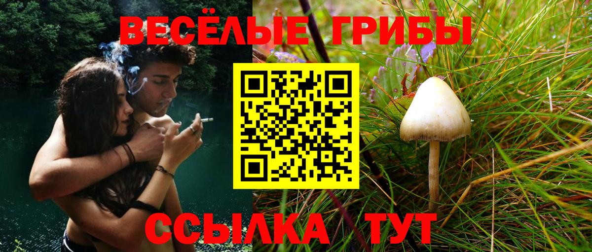 Галлюциногенные грибы Magic Shrooms  где можно купить   Нурлат  Вход с VPN 