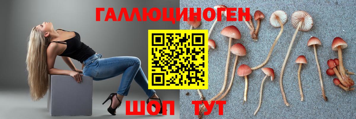 Галлюциногенные грибы ЛСД Нурлат